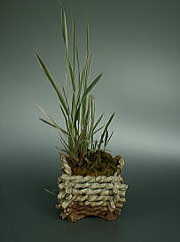 �\�a�c�A�V