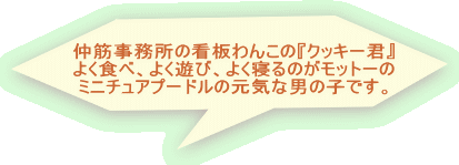 ���؎������̊Ŕ�񂱂́w�N�b�L�[�N�x �悭�H�ׁA�悭�V�сA�悭�Q��̂����b�g�[�� �~�j�`���A�v�[�h���̌��C�Ȓj�̎q�ł��B 