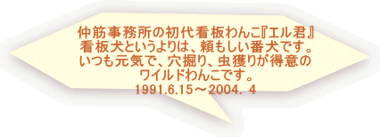 ���؎������̏���Ŕ�񂱁w�G���N�x �Ŕ��Ƃ������́A���������Ԍ��ł��B �������C�ŁA���@��A���l�肪���ӂ� ���C���h��񂱂ł��B 1991.6.15�`2004�D4