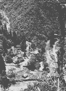 �p���O�̈��