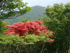 ���ړ����瓌�J��x