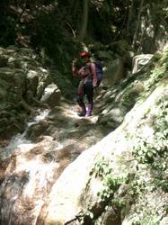 �V����o��؂��ė]�T�̂Ƃ������