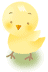 ひよこ