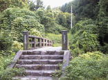苴