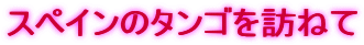 XyC̃^SK˂