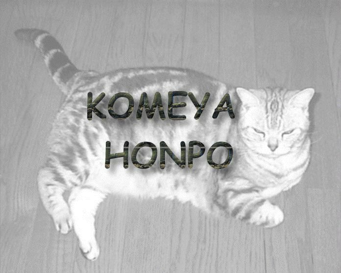 �S�}�ł��I