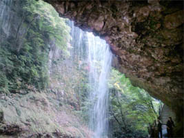 ����̗���