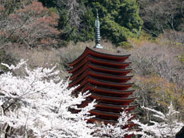 �\�O�d���ƍ�