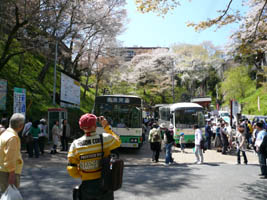 ����{�V���g���o�X������