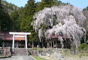 �_���_�Ђ̎}�����