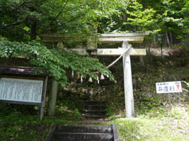 ��D�_�В���