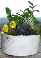 �Ђ悱�̔��A�����̂Q