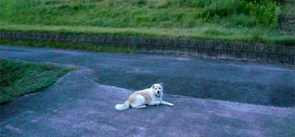 �`���`��