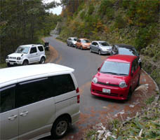 �H�㒓�Ԃ̎Ԃ̌Q��