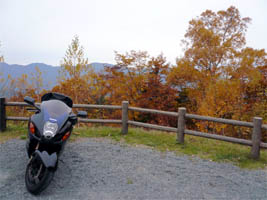 �[���_�p�m���}�������ԏ�