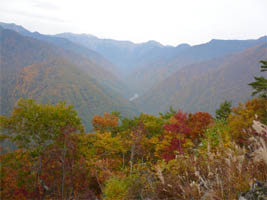 �W�]�䂩��̌i�F