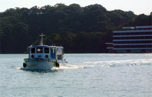 �z�e�����̓��̘A���D