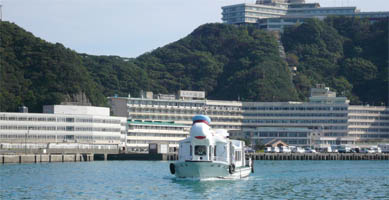 �z�e���Y���̘A���D