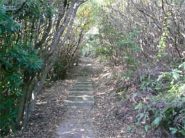 ����ւ̊K�i