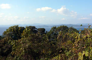 ���䂩��̌i�F