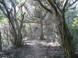 ����ւ̎R��