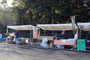 �ɐ��̒��s