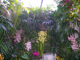 ���{���Y��ȃg�C���H