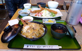 ���ј��ƒ��W�����{�G�r�t���C��H