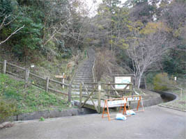 �V���������