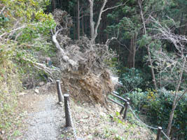 �y������