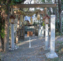 �����_��