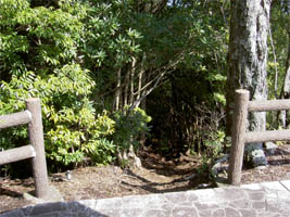 ����瓹���H