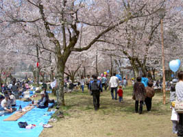 ��������̕��i