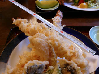 �W�����{���ѓV�Ղ�