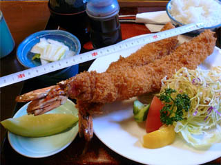 �W�����{���уt���C