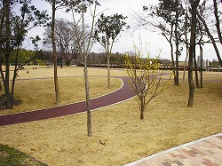 北勢中央公園 国補公園施設(敷地造成)工事