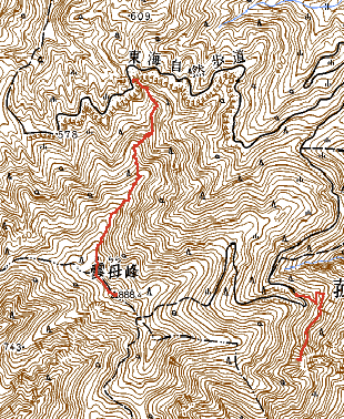 地形図(ルート図) 地形図