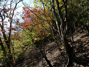 写真3 写真3