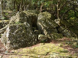 写真4 イシグラ 写真4