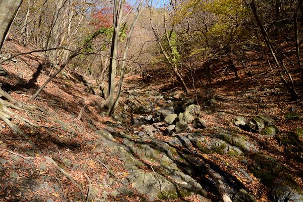 写真2 池ヶ谷上流部 写真2