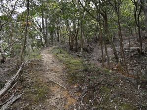 写真3 菰野富士登山道 写真3 菰野富士登山道