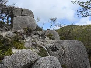 写真5 国見岳西尾根 1150mの尾根に乗る 写真5 国見岳西尾根 1150mの尾根に乗る
