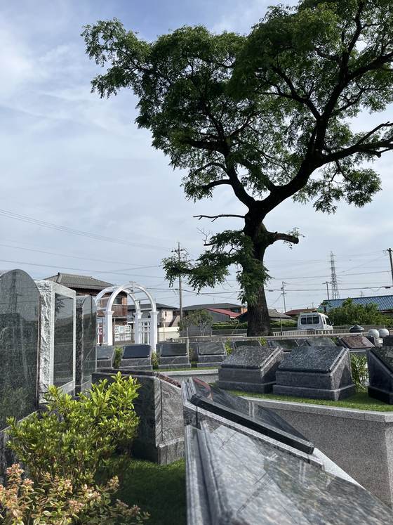 白いアーチと芝生の墓域