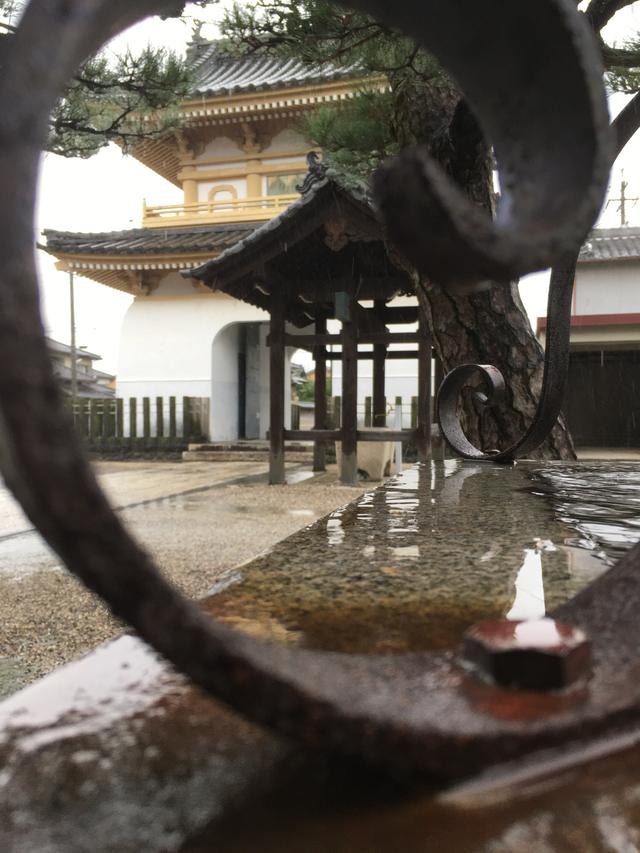 雨の日の山門