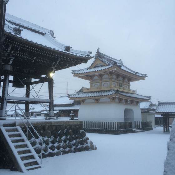 雪の山門