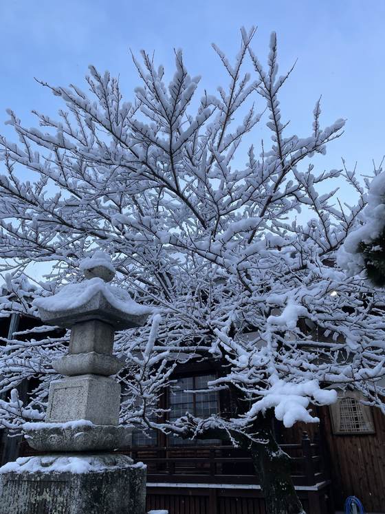雪の灯籠と枝