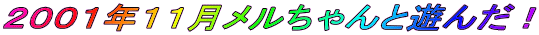 QOOPNPPƗV񂾁I