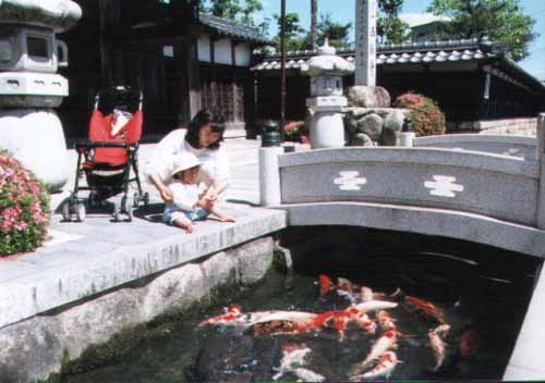 chisyaku1.jpg (30540 oCg)