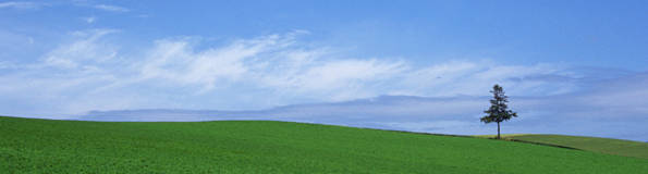 kenkou01.jpg (10041 oCg)