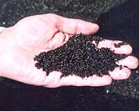 suragu.jpg (5950 バイト)